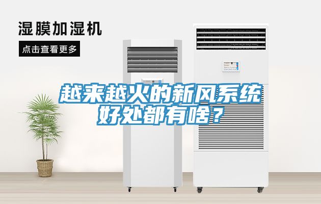 越來越火的新風係統好處都有啥？