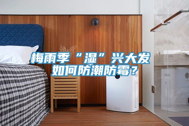 梅雨季“濕”興大發 如何防潮防黴？