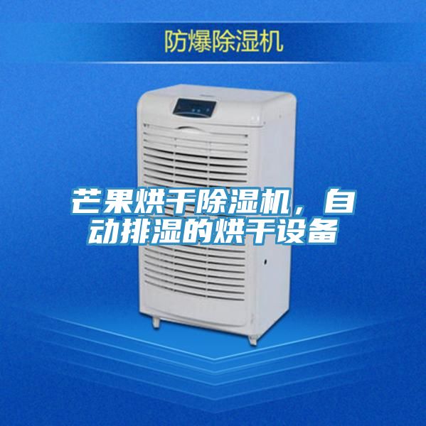 芒果烘幹91看片软件大全，自動排濕的烘幹設備