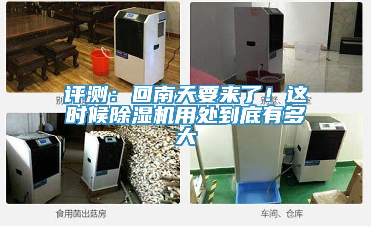 評測：回南天要來了！這時候91看片软件大全用處到底有多大