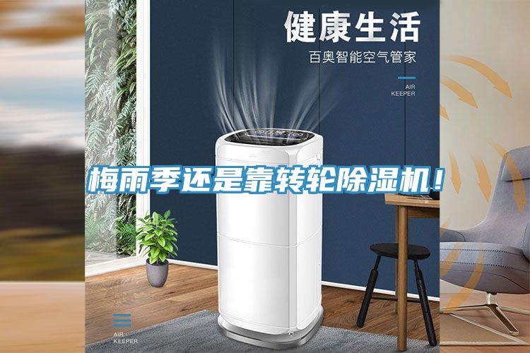 梅雨季還是靠轉輪91看片软件大全！
