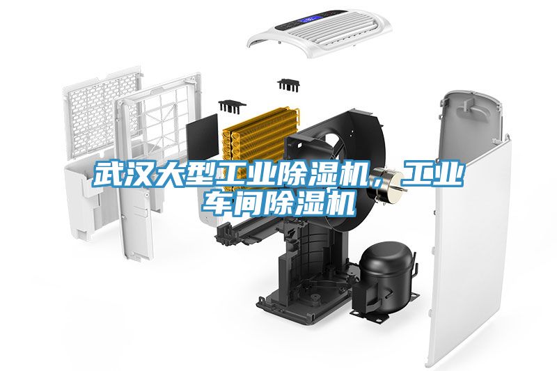 武漢大型工業91看片软件大全，工業車間91看片软件大全