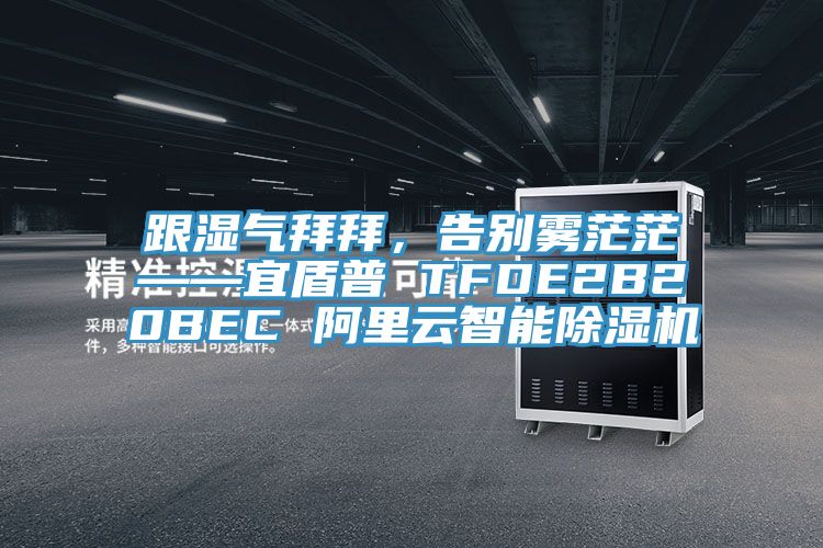 跟濕氣拜拜，告別霧茫茫——宜盾普 TFDE2B20BEC 阿裏雲智能91看片软件大全