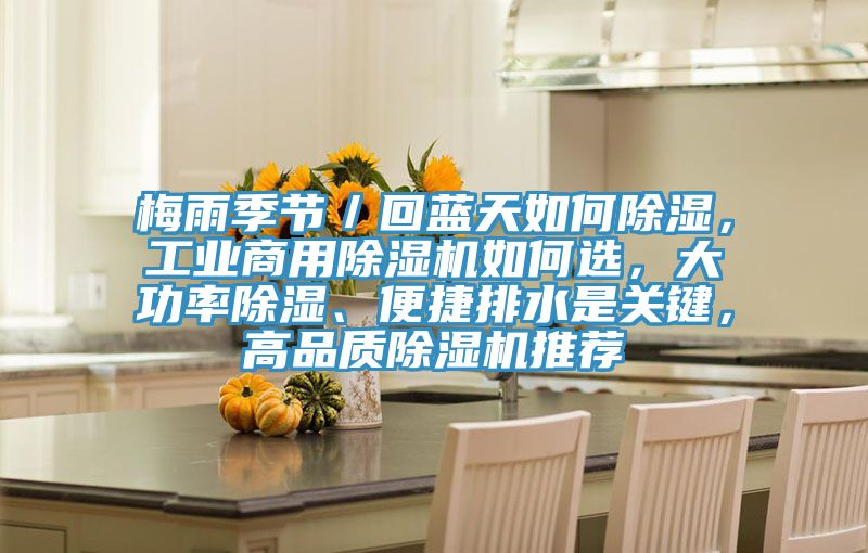 梅雨季節／回藍天如何除濕，工業商用91看片软件大全如何選，大功率除濕、便捷排水是關鍵，高品質91看片软件大全推薦