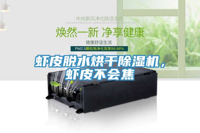 蝦皮脫水烘幹91看片软件大全，蝦皮不會焦