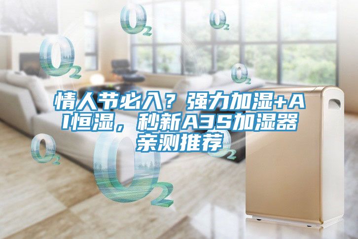 情人節必入？強力加濕+AI恒濕，秒新A3S加濕器親測推薦