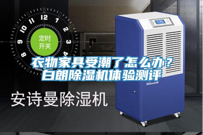 衣物家具受潮了怎麽辦？白朗91看片软件大全體驗測評