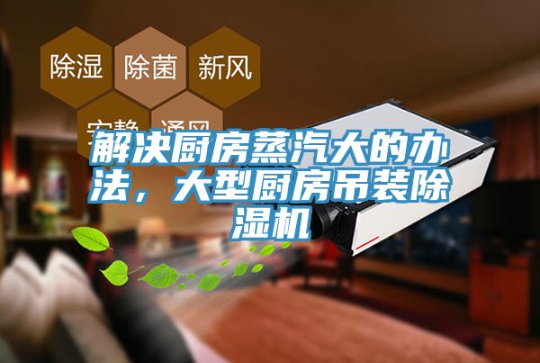 解決廚房蒸汽大的辦法，大型廚房吊裝91看片软件大全