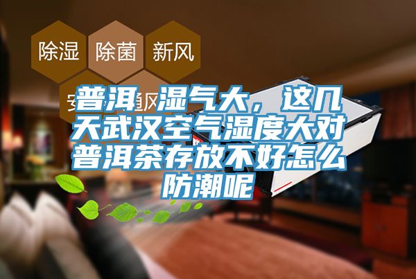 普洱 濕氣大，這幾天武漢空氣濕度大對普洱茶存放不好怎麽防潮呢