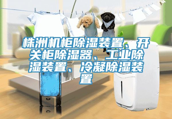 株洲機櫃除濕裝置、開關櫃除濕器、工業除濕裝置、冷凝除濕裝置