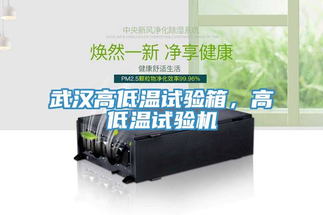 武漢高低溫試驗箱，高低溫試驗機