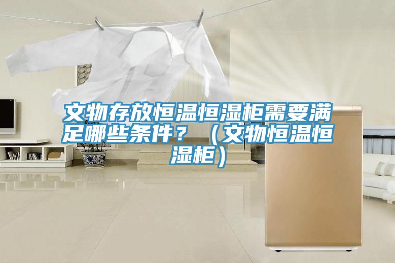 文物存放恒溫恒濕櫃需要滿足哪些條件？（文物恒溫恒濕櫃）