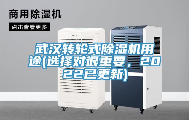武漢轉輪式91看片软件大全用途(選擇對很重要，2022已更新)