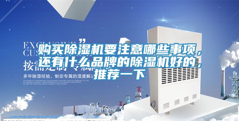 購買91看片软件大全要注意哪些事項，還有什麽品牌的91看片软件大全好的，推薦一下