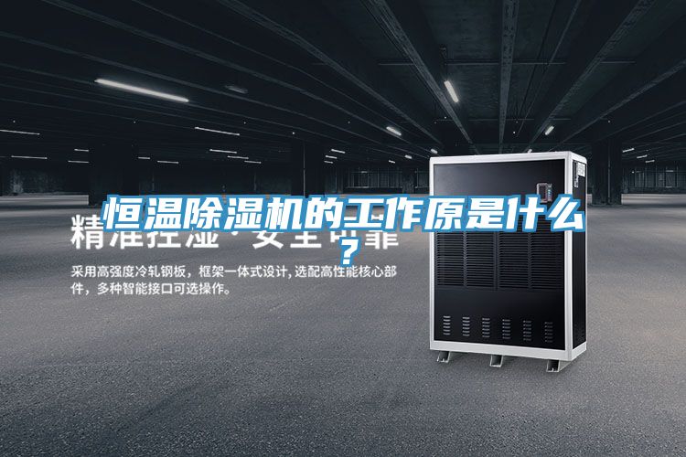 恒溫91看片软件大全的工作原是什麽？
