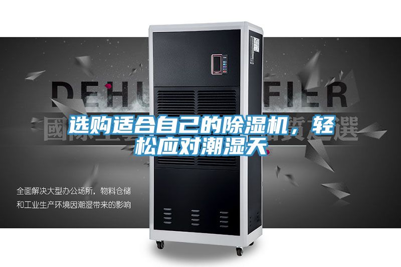 選購適合自己的91看片软件大全，輕鬆應對潮濕天