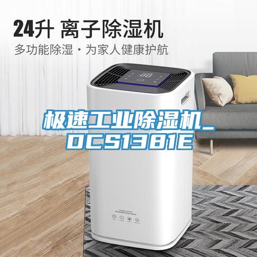 極速工業91看片软件大全_DCS1381E