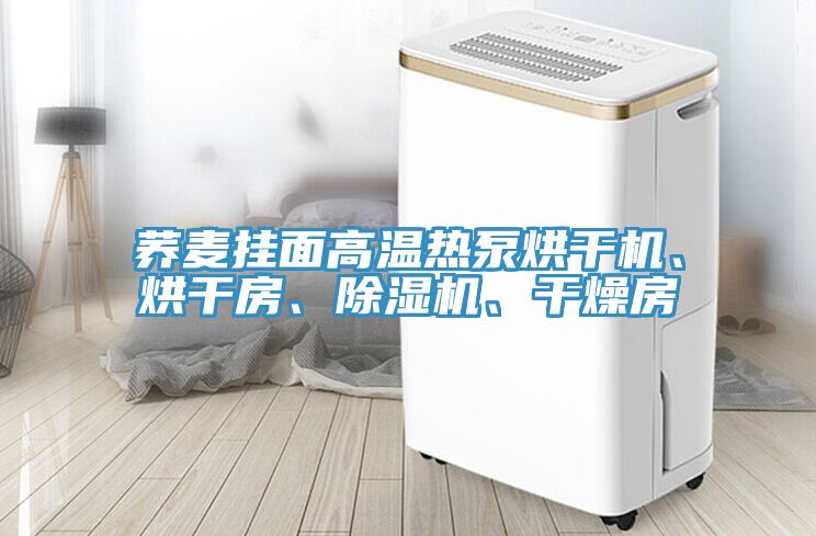 蕎麥掛麵高溫熱泵烘幹機、烘幹房、91看片软件大全、幹燥房