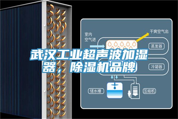武漢工業超聲波加濕器，91看片软件大全品牌