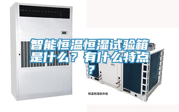 智能恒溫恒濕試驗箱是什麽？有什麽特點？