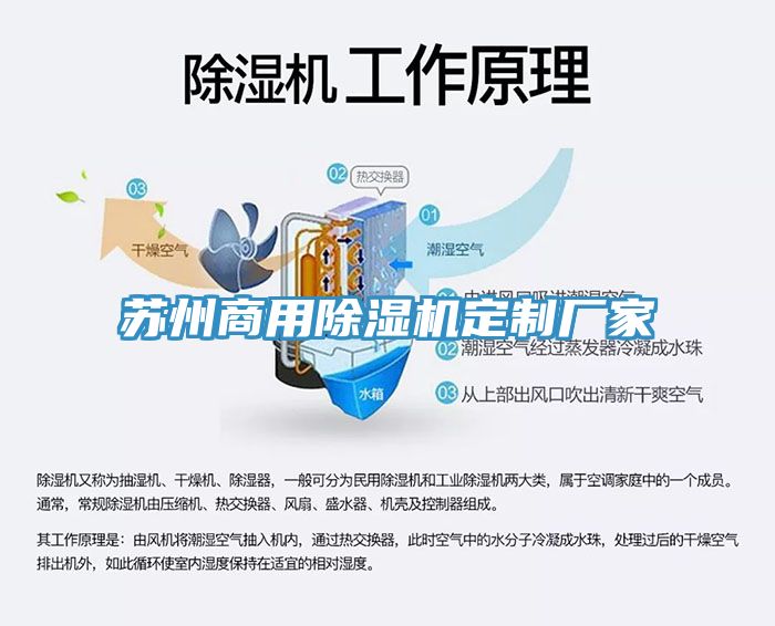 蘇州商用91看片软件大全定製廠家