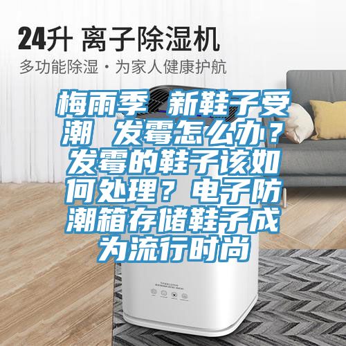 梅雨季 新鞋子受潮 發黴怎麽辦？發黴的鞋子該如何處理？電子防潮箱存儲鞋子成為流行時尚