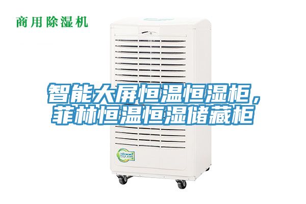 智能大屏恒溫恒濕櫃，菲林恒溫恒濕儲藏櫃