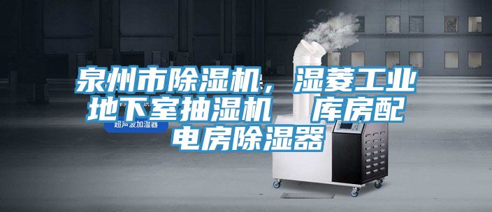 泉州市91看片软件大全，濕菱工業地下室抽濕機  庫房配電房除濕器