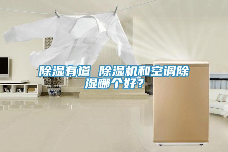 除濕有道 91看片软件大全和空調除濕哪個好？