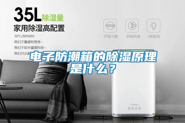 電子防潮箱的除濕原理是什麽？