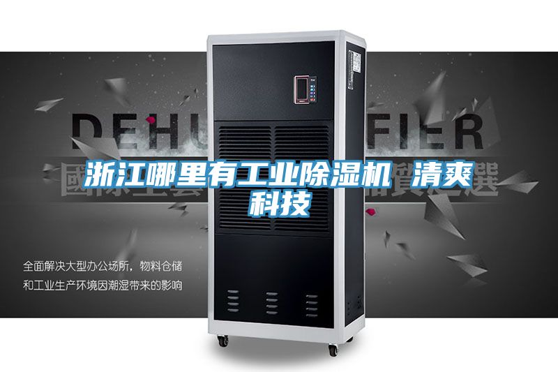 浙江哪裏有工業91看片软件大全 清爽科技