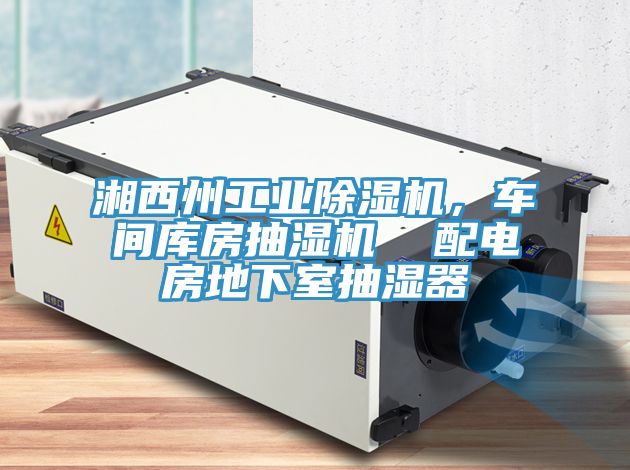 湘西州工業91看片软件大全，車間庫房抽濕機  配電房地下室抽濕器