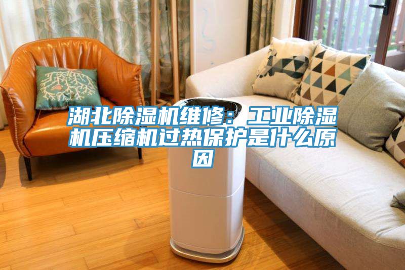 湖北91看片软件大全維修：工業91看片软件大全壓縮機過熱保護是什麽原因