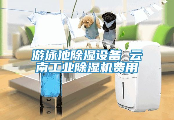 遊泳池除濕設備 雲南工業91看片软件大全費用