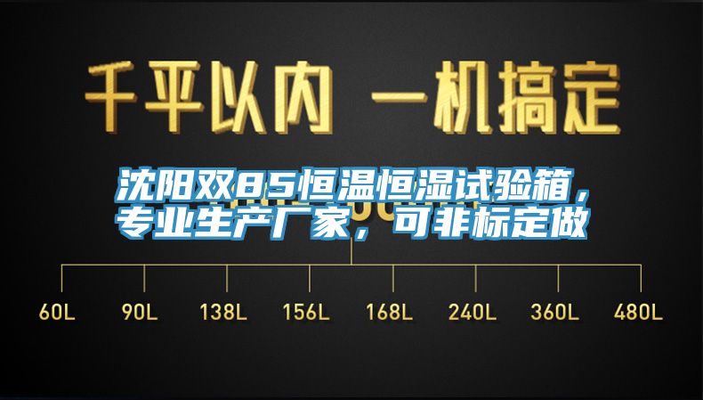沈陽雙85恒溫恒濕試驗箱，專業生產廠家，可非標定做
