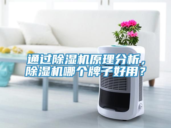 通過91看片软件大全原理分析，91看片软件大全哪個牌子好用？
