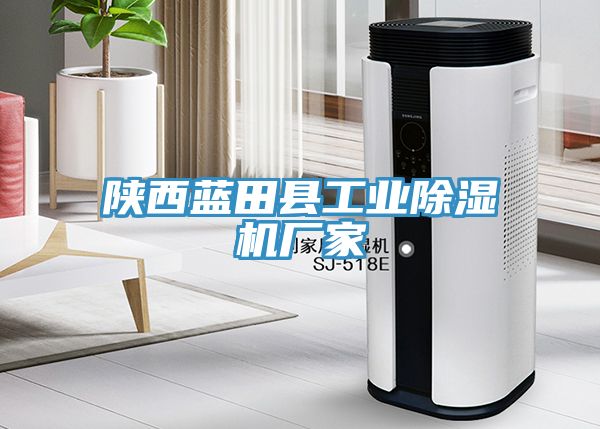 陝西藍田縣工業91看片软件大全廠家