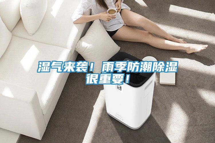 濕氣來襲！雨季防潮除濕很重要！
