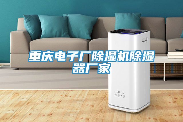 重慶電子廠91看片软件大全除濕器廠家
