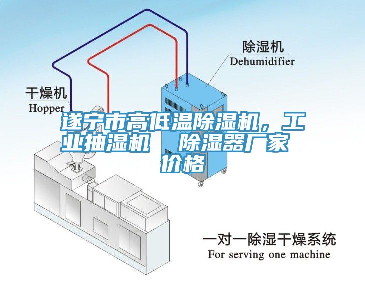 遂寧市高低溫91看片软件大全，工業抽濕機  除濕器廠家 價格