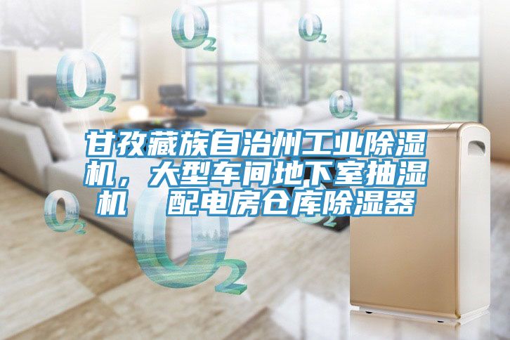 甘孜藏族自治州工業91看片软件大全，大型車間地下室抽濕機  配電房倉庫除濕器