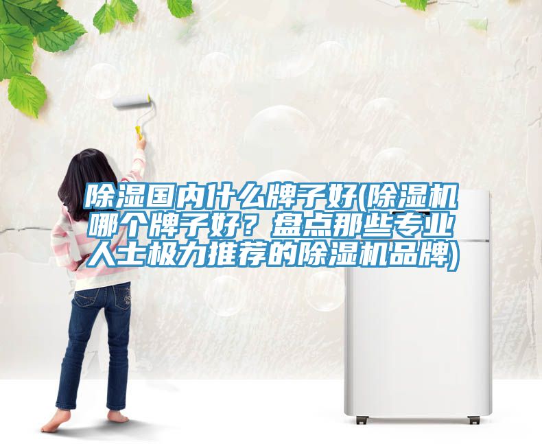 除濕國內什麽牌子好(91看片软件大全哪個牌子好？盤點那些專業人士極力推薦的91看片软件大全品牌)