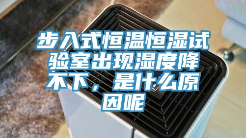 步入式恒溫恒濕試驗室出現濕度降不下，是什麽原因呢