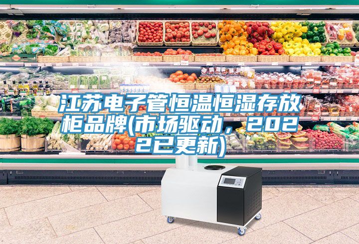 江蘇電子管恒溫恒濕存放櫃品牌(市場驅動，2022已更新)