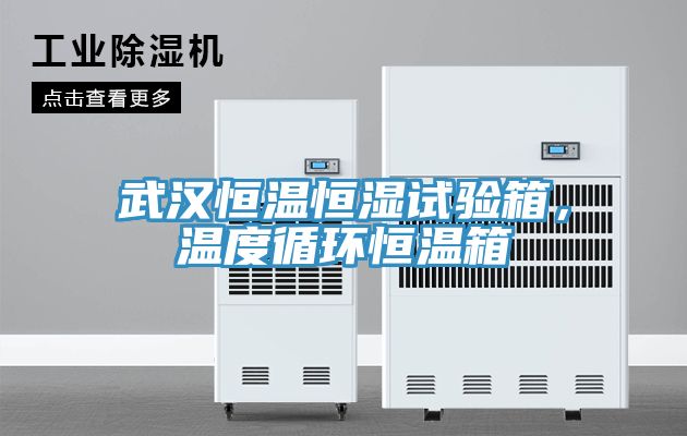 武漢恒溫恒濕試驗箱，溫度循環恒溫箱