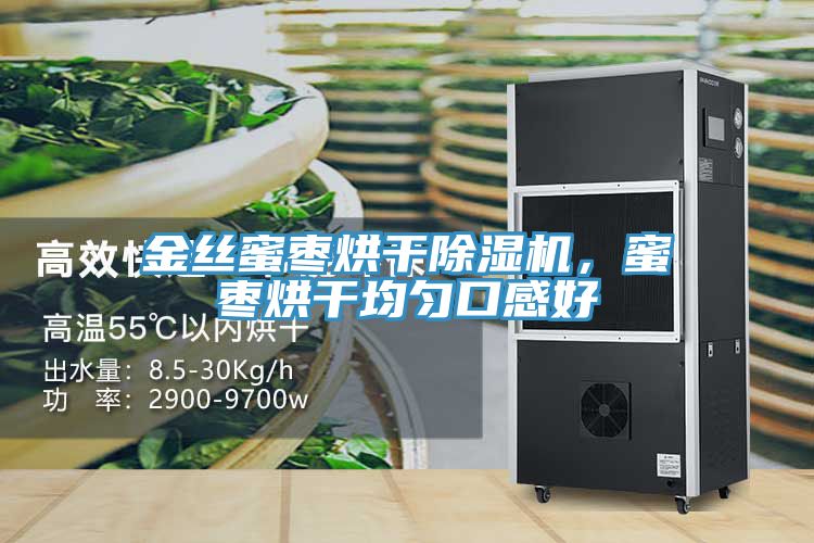 金絲蜜棗烘幹91看片软件大全，蜜棗烘幹均勻口感好