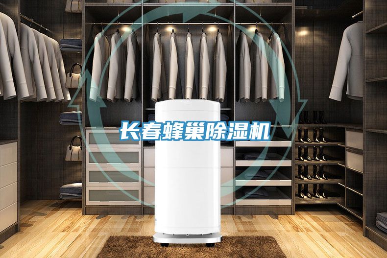 長春蜂巢91看片软件大全