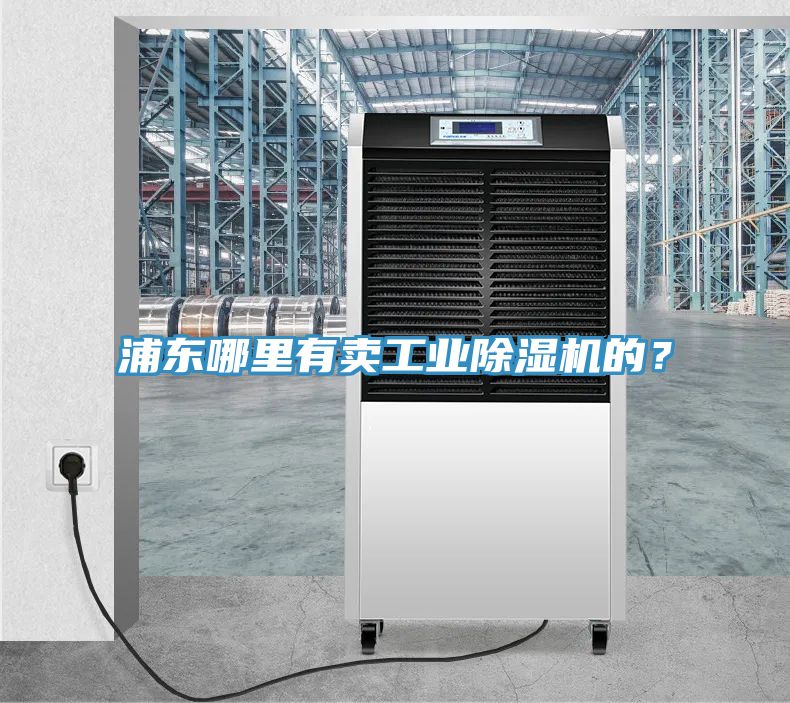浦東哪裏有賣工業91看片软件大全的？