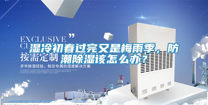 濕冷初春過完又是梅雨季，防潮除濕該怎麽辦？