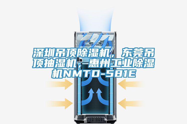 深圳吊頂91看片软件大全，東莞吊頂抽濕機，惠州工業91看片软件大全NMTD-581E